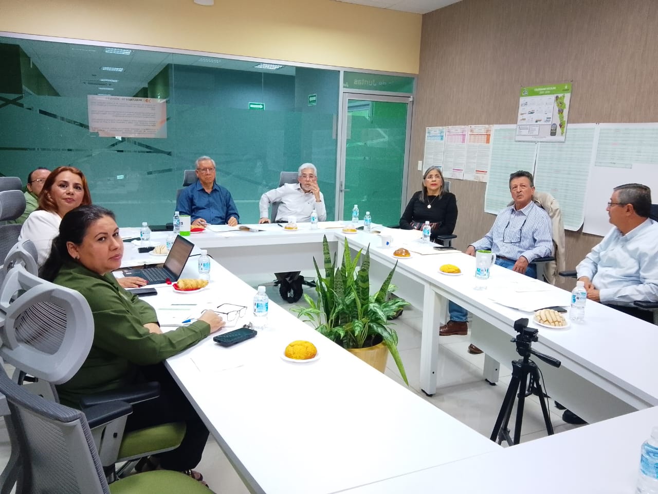 CONSEJO CONSULTIVO DE LA MAESTRÍA EN DOCENCIA DE LAS CIENCIAS CAMPO SABERES Y PENSAMIENTO CIENTÍFICO